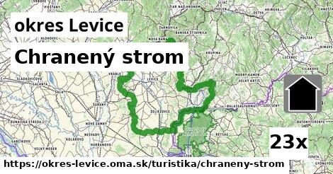 Chranený strom, okres Levice