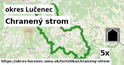 Chranený strom, okres Lučenec