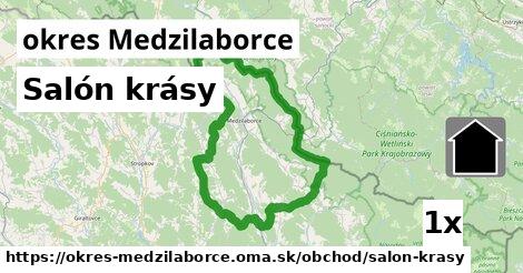 Salón krásy, okres Medzilaborce