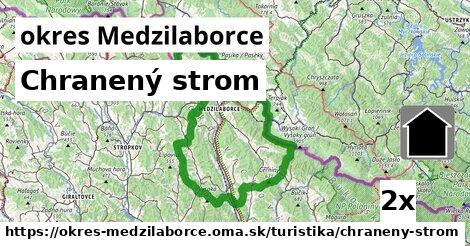 Chranený strom, okres Medzilaborce