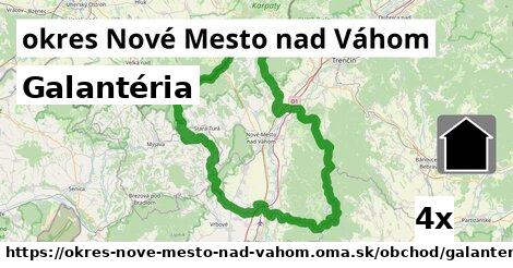 Galantéria, okres Nové Mesto nad Váhom