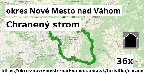 chranený strom v okres Nové Mesto nad Váhom