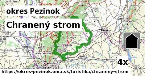 Chranený strom, okres Pezinok