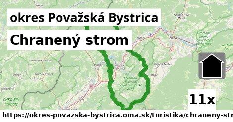 Chranený strom, okres Považská Bystrica