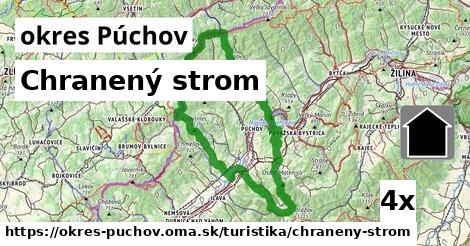 Chranený strom, okres Púchov