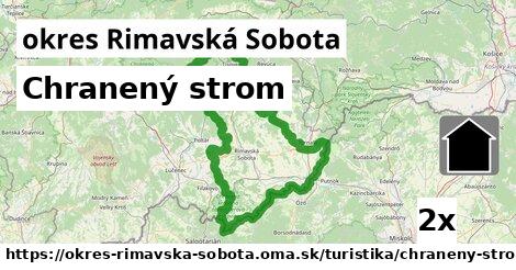 Chranený strom, okres Rimavská Sobota