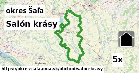 Salón krásy, okres Šaľa