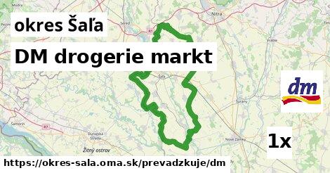 DM drogerie markt, okres Šaľa