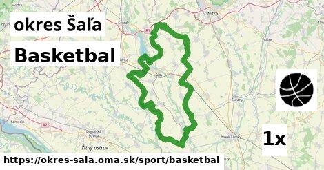 Basketbal, okres Šaľa
