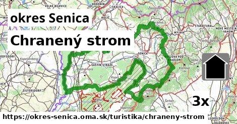 Chranený strom, okres Senica