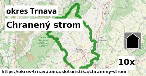 Chranený strom, okres Trnava