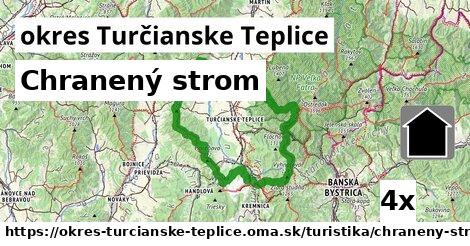 Chranený strom, okres Turčianske Teplice