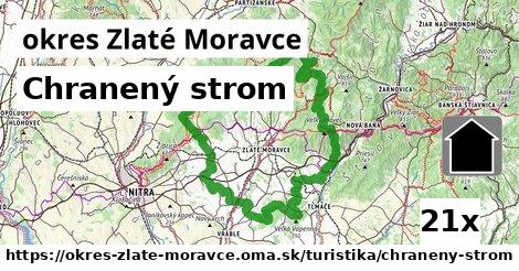 Chranený strom, okres Zlaté Moravce