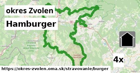 Hamburger, okres Zvolen