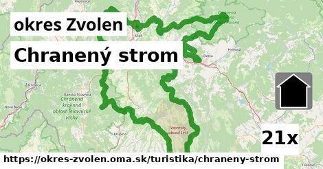 Chranený strom, okres Zvolen