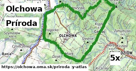 príroda v Olchowa