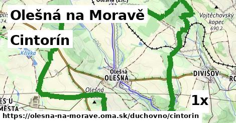 Cintorín, Olešná na Moravě