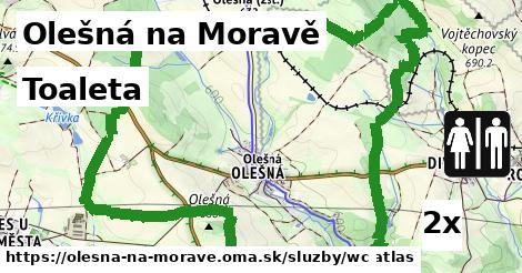 Toaleta, Olešná na Moravě