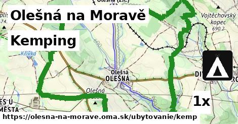 Kemping, Olešná na Moravě