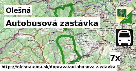 Autobusová zastávka, Olešná