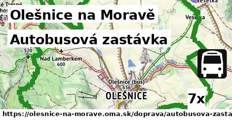 Autobusová zastávka, Olešnice na Moravě