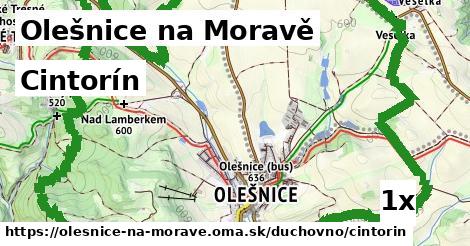 Cintorín, Olešnice na Moravě