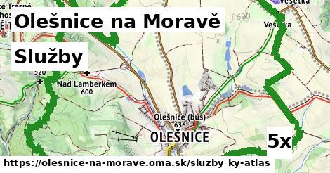 služby v Olešnice na Moravě