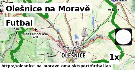 Futbal, Olešnice na Moravě