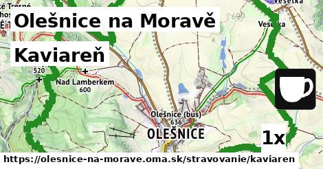 kaviareň v Olešnice na Moravě