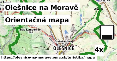 Orientačná mapa, Olešnice na Moravě