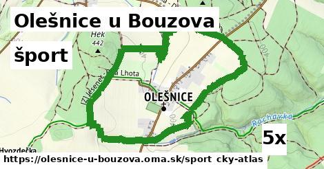 šport v Olešnice u Bouzova