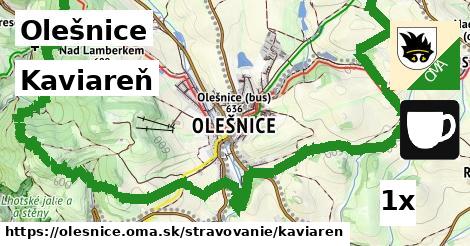 Kaviareň, Olešnice