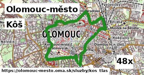 kôš v Olomouc-město