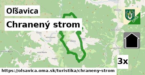 Chranený strom, Oľšavica