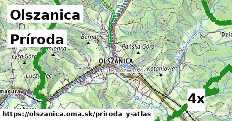 príroda v Olszanica