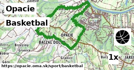 Basketbal, Opacie