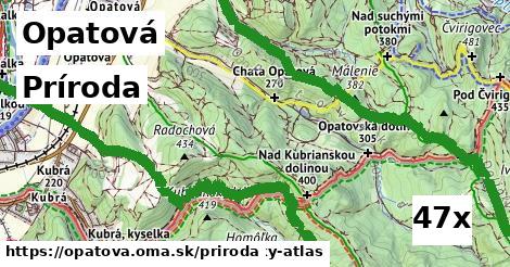 príroda v Opatová