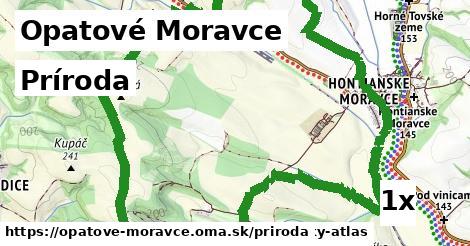 príroda v Opatové Moravce