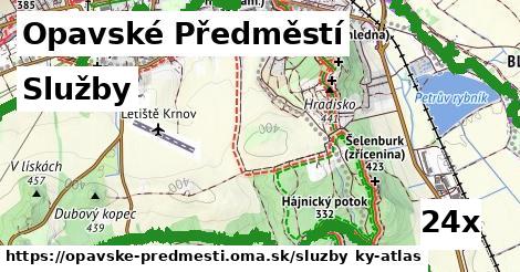 služby v Opavské Předměstí