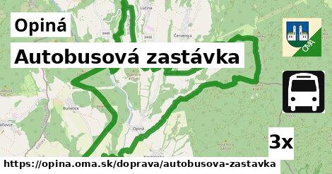 Autobusová zastávka, Opiná