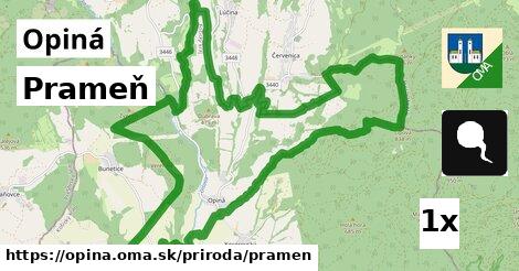 Prameň, Opiná