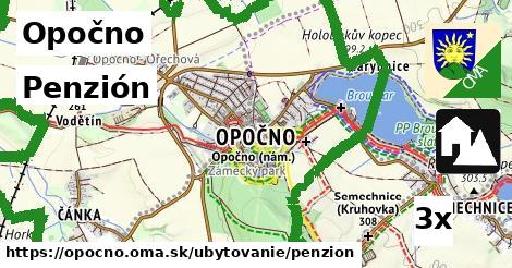 Penzión, Opočno