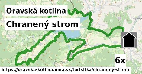 Chranený strom, Oravská kotlina