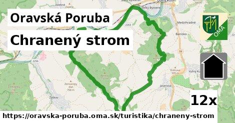 Chranený strom, Oravská Poruba