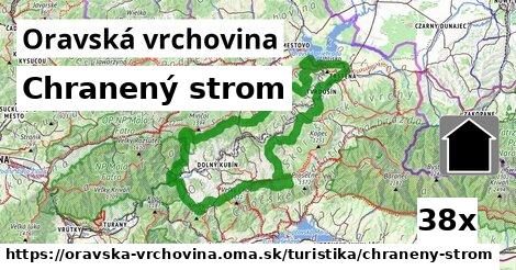 Chranený strom, Oravská vrchovina