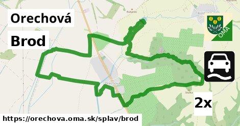 Brod, Orechová