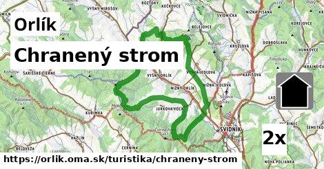 Chranený strom, Orlík