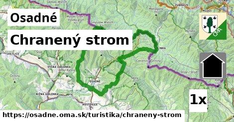 Chranený strom, Osadné