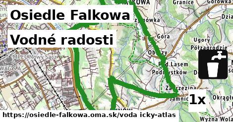 vodné radosti v Osiedle Falkowa