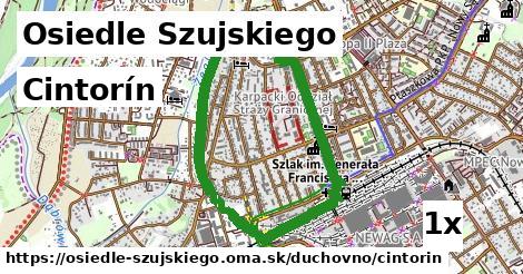 cintorín v Osiedle Szujskiego